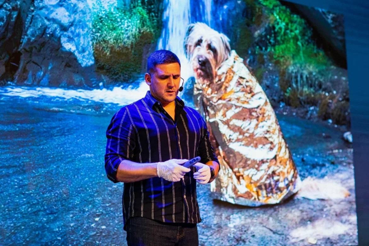 Внимание, водители! Холода – время опасности для животных, ищущих ночлег под капотом