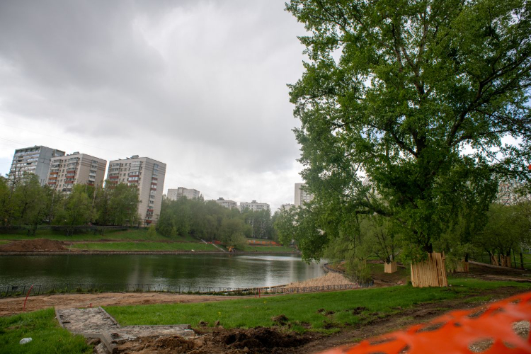 Качественный отдых у воды: Беловежский пруд благоустроят в этом году