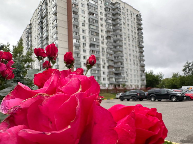 Июль 2025: прогноз погоды в Москве от синоптиков