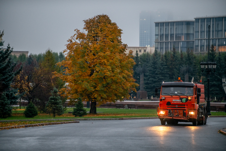 Прощанье с теплой осенью: какая погода ждет москвичей на стыке октября и ноября