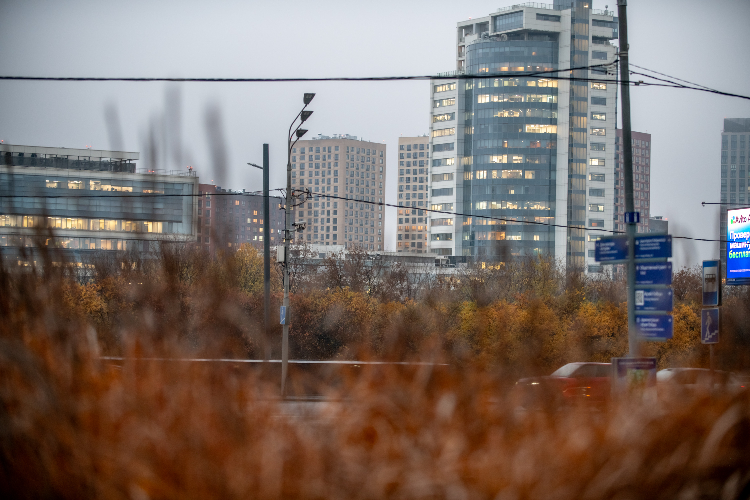 Зима отменяется? Синоптики рассказали, какая погода ждет москвичей с 3 по 9 ноября