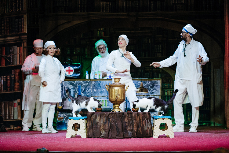 Заботимся о питомцах: образовательный проект запустили в Театре кошек