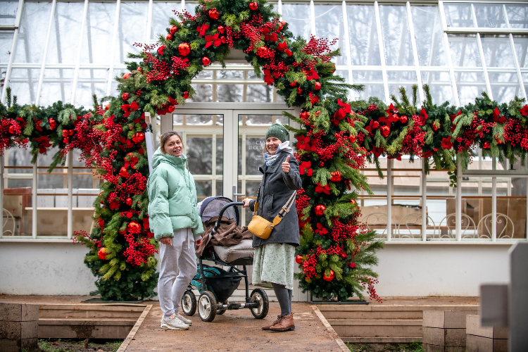 Зеленый оазис среди сугробов: проект «Сады и огороды» перешел на зимний режим