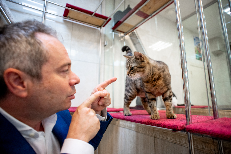 Пушистый десант Куклачева: спасенные из зоны СВО кошки готовятся к дебюту на сцене