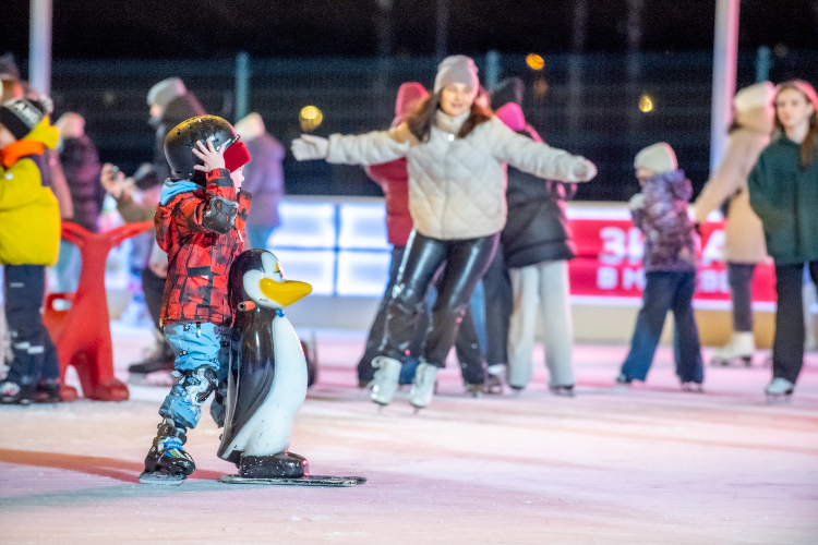 Ура, каникулы! Чем заняться на новогодних праздниках в ЗАО