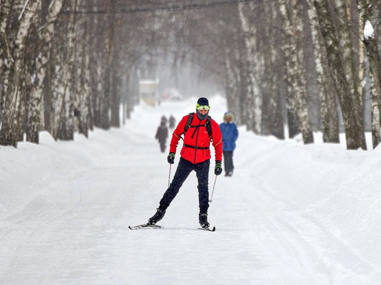 Здоровье, сосны и глинтвейн: выбираем лучший лыжный маршрут в Западном округе