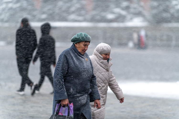 Ледяные качели: Москва прощается с январем снегопадами и резким обвалом холода