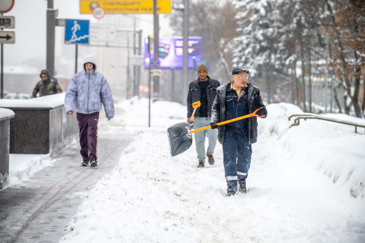 От арктической стужи до «барического дна»: синоптики рассказали о погоде в Москве 2–8 февраля