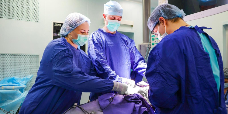 Собянин: объем операций по трансплантации за пять лет вырос более чем вдвое