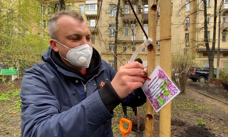 Евгений Попов принял участие в акции «Сирень Победы»