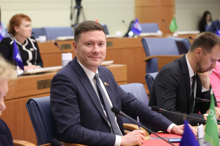 Агентство общественных проектов