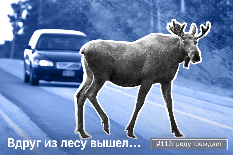 Вдруг из леса вышел…