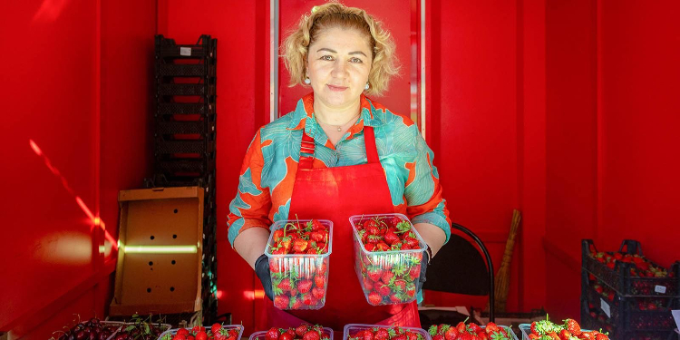 Фермеры из 40 регионов поставляют свежие продукты на ярмарки Москвы — Собянин