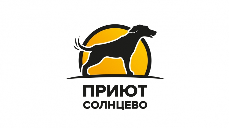 Солнцевский приют для собак примет участие в праздничном мероприятии Музея Победы