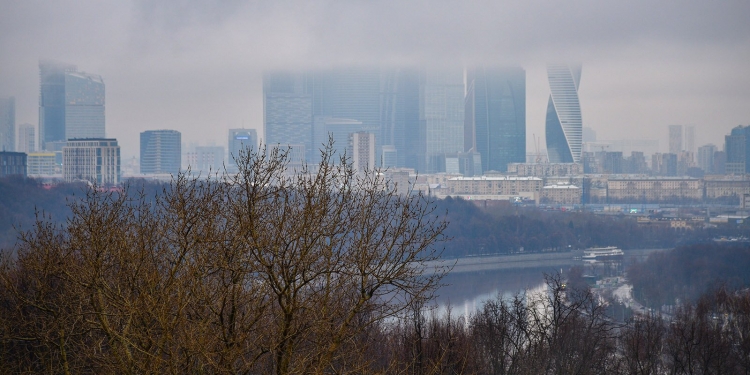 Из-за тумана во Внуково задержали и отменили более 30 рейсов