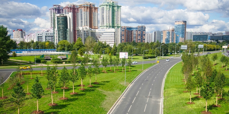 На участке Ленинского проспекта высадили новые деревья и кустарники