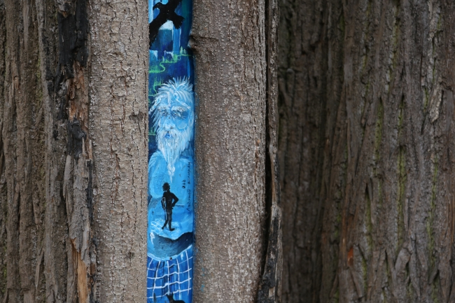 В Ботаническом саду МГУ расскажут про виды древесной коры 29 января