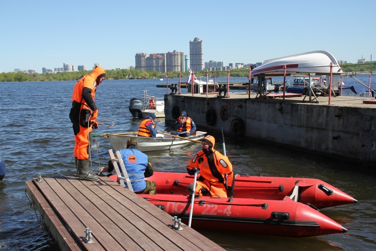 Четвероногие напарники. Спасателям на водных объектах Москвы помогают специально обученные собаки