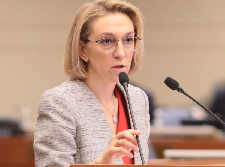 Юлиана Княжевская: в ТиНАО появится дом отдыха