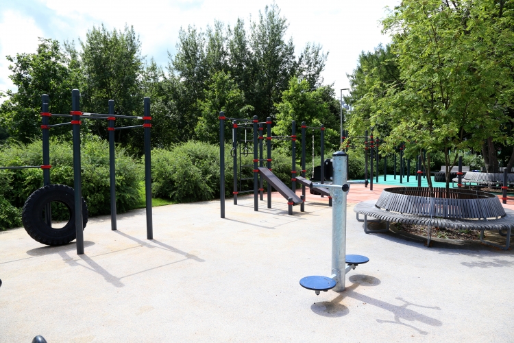 многофункциональная спортивная площадка. парк пестовский собачья площадка. нескучный сад воркаут площадка нескучный сад. парк 22 партсъезда екатеринбург площадка для выгула собак. воркаут площадка парк горького.