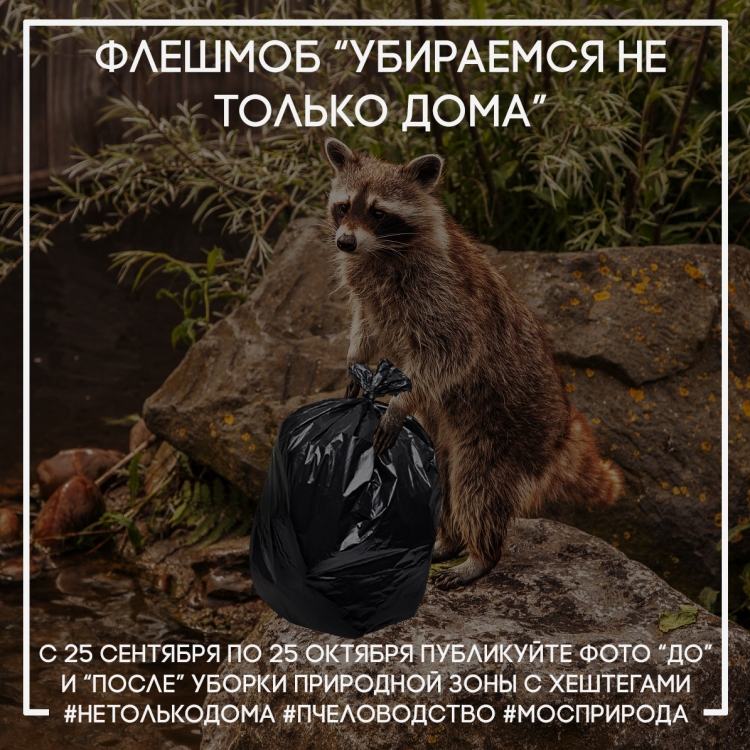 Мосприрода запустила природоохранный флешмоб «Убираемся не только дома»