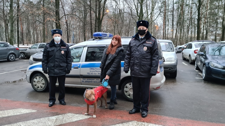 В Москве сотрудники полиции вернули пропавшего питомца хозяевам