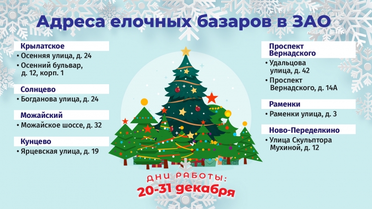 В ЗАО будут работать 9 елочных базаров с 20 декабря