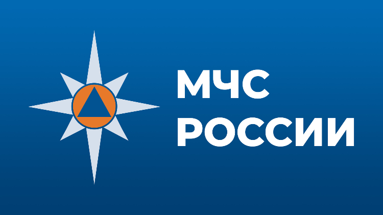 В Государственной Думе обсудили ряд вопросов по направлениям деятельности МЧС России