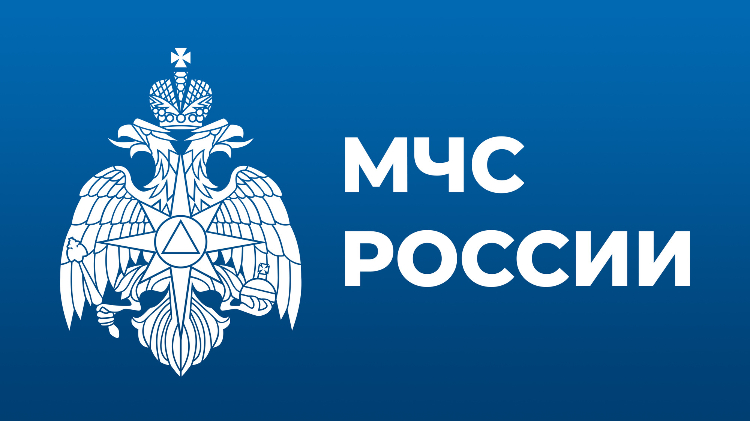В МЧС России рассмотрели оперативную обстановку на территории страны за прошедшую неделю