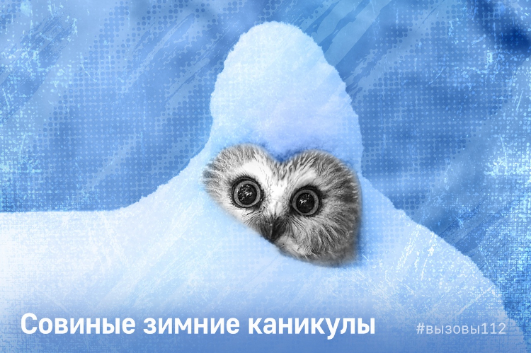 Совиные зимние каникулы