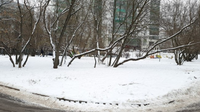 На улице Академика Анохина ликвидированы незаконные постройки