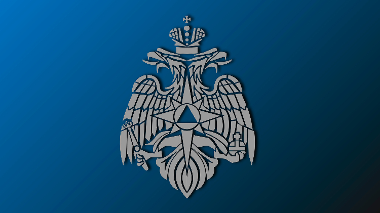 МЧС России пополняется международными экспертами высокого уровня