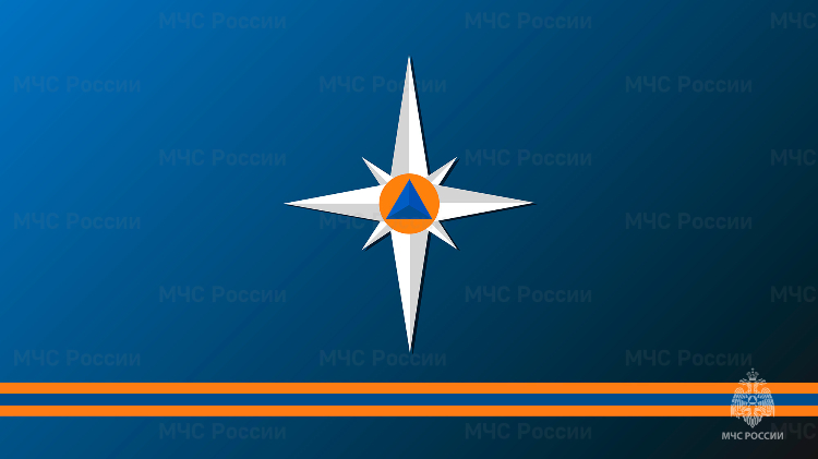 МЧС России дали старт конкурсу на лучшую методичку по «ОБЖ» и «БЖД»