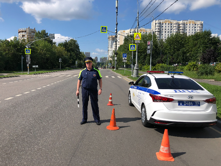 В ЗАО подведены итоги профилактического мероприятия  «Пешеход»