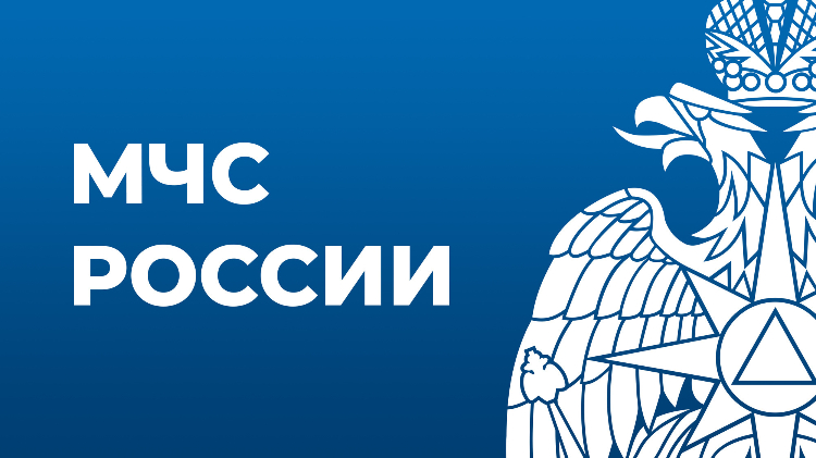 МЧС России проводит онлайн-опрос по вопросам профилактики коррупции