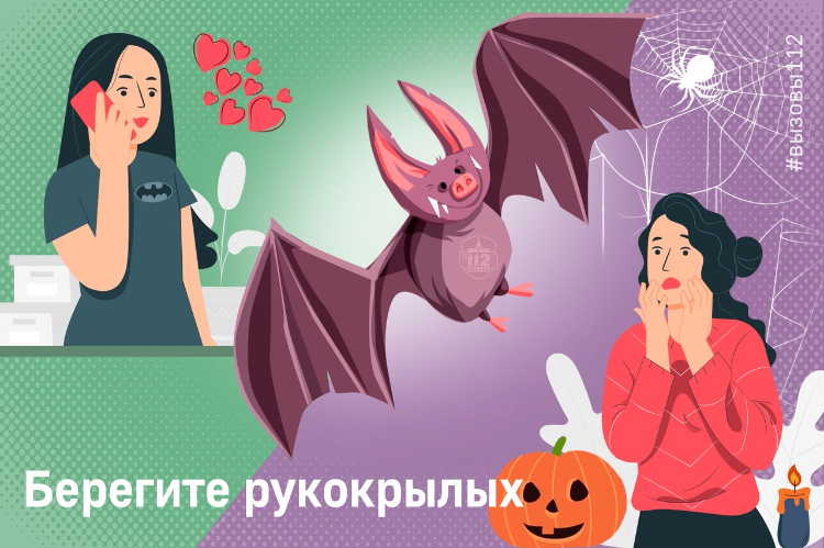 Берегите рукокрылых