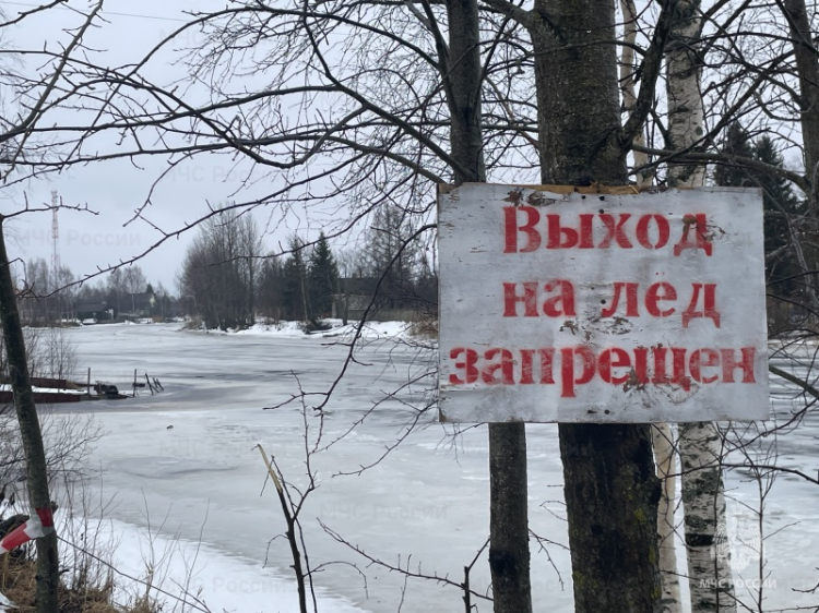Около 300 человек с начала года спасли сотрудники МЧС России на водоемах страны
