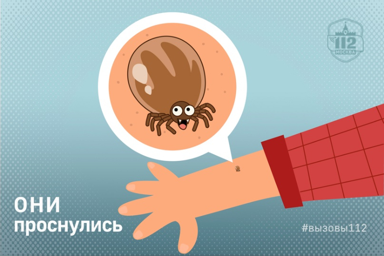 Они проснулись
