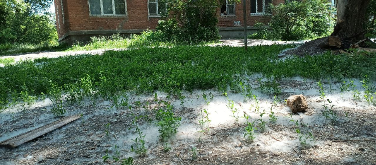 Внимание! Высокая пожарная опасность
