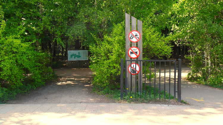 Высокий уровень пожарной опасности в столичном регионе продлен до понедельника