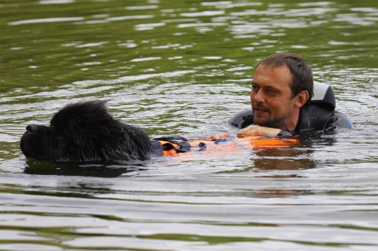 В Московской городской поисково-спасательной службе на водных объектах рассказали об использовании собак для спасения людей