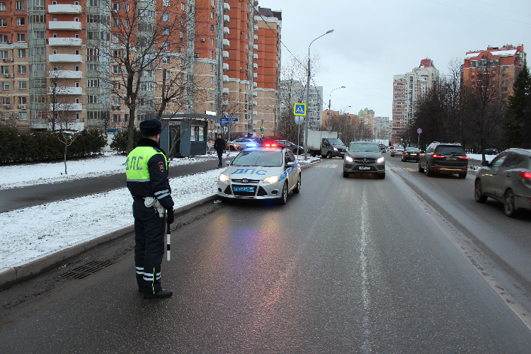 В ЗАО подведены итоги городского профилактического мероприятия «Пешеходный переход»