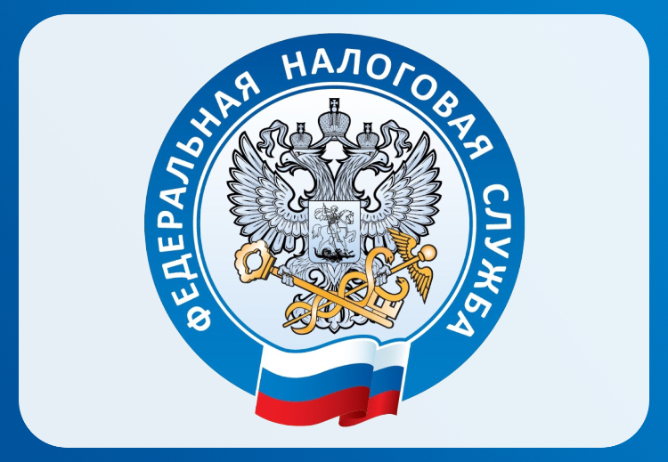 В Москве началась Декларационная кампания 2025 года