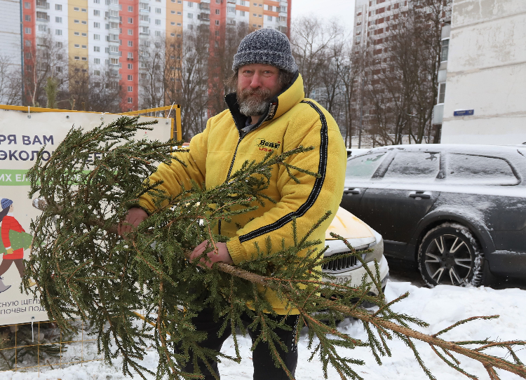 Как сдать елку на добрые дела. Наши корреспонденты побывали в пункте на Осеннем бульваре